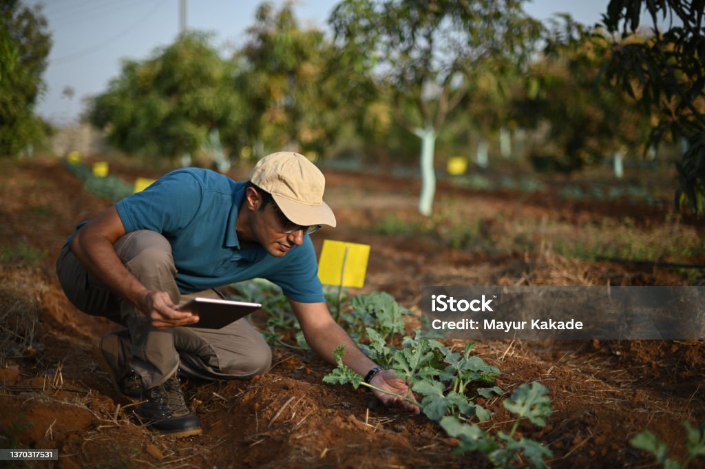Our Organic Farm